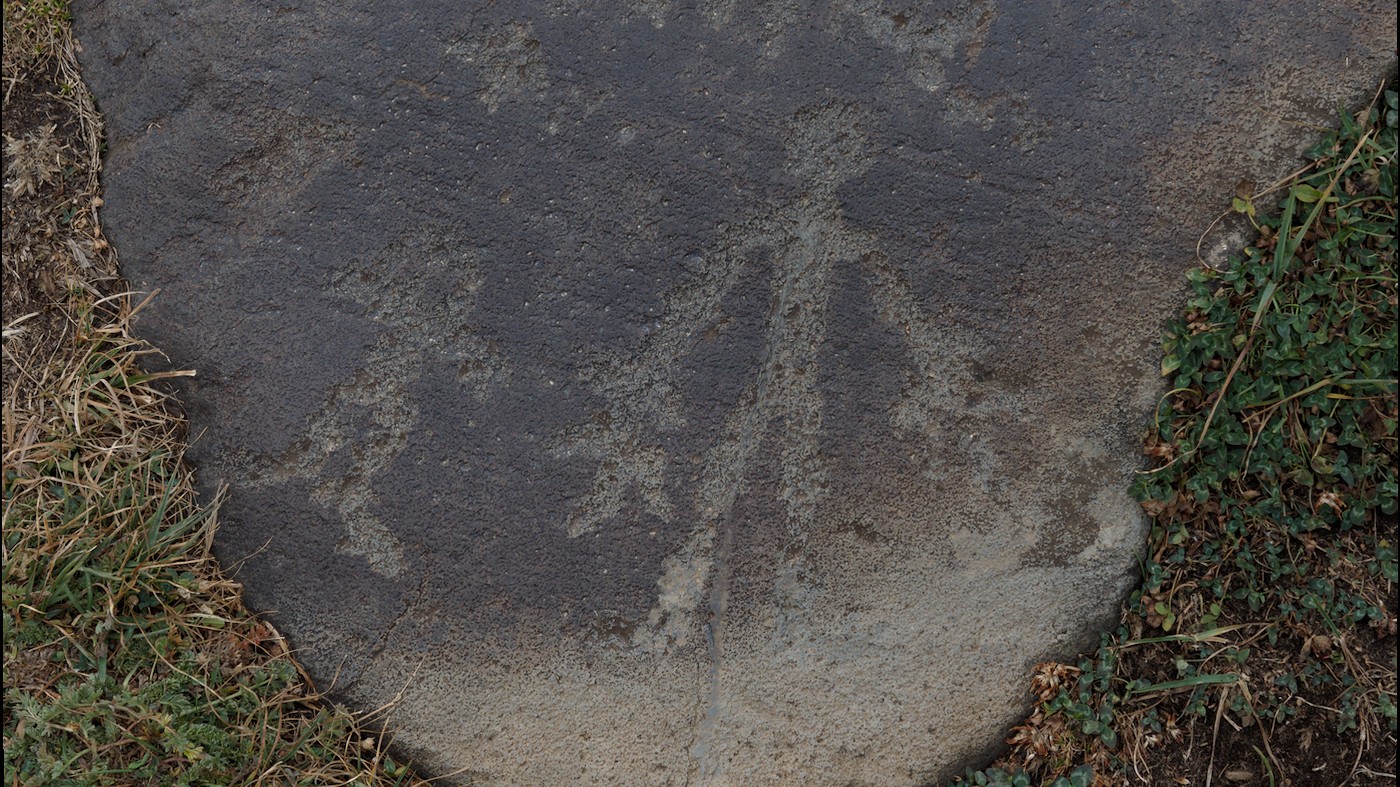 P9180911.jpg