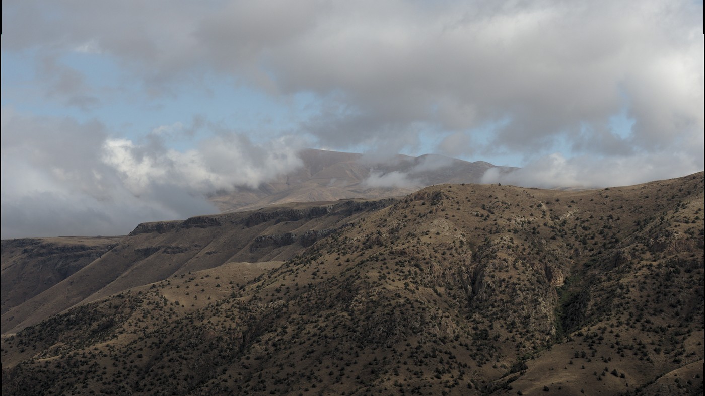 P9190999.jpg
