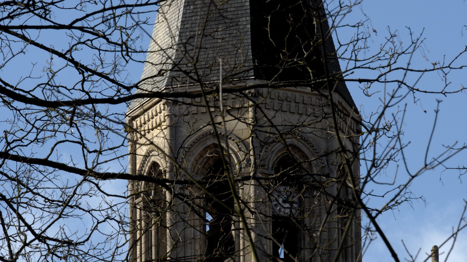 P3100474.jpg