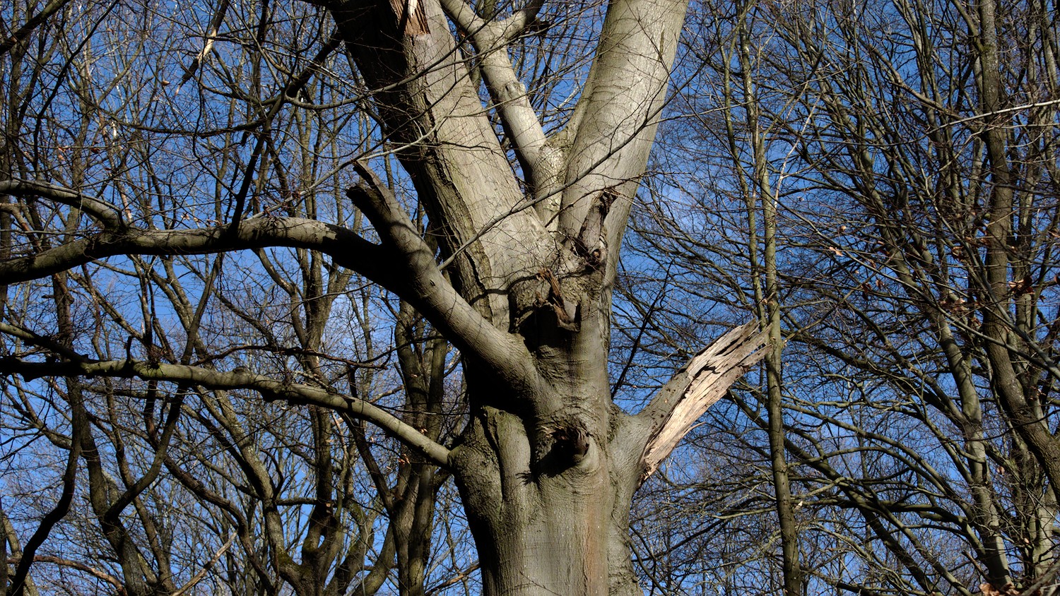 P3100484.jpg