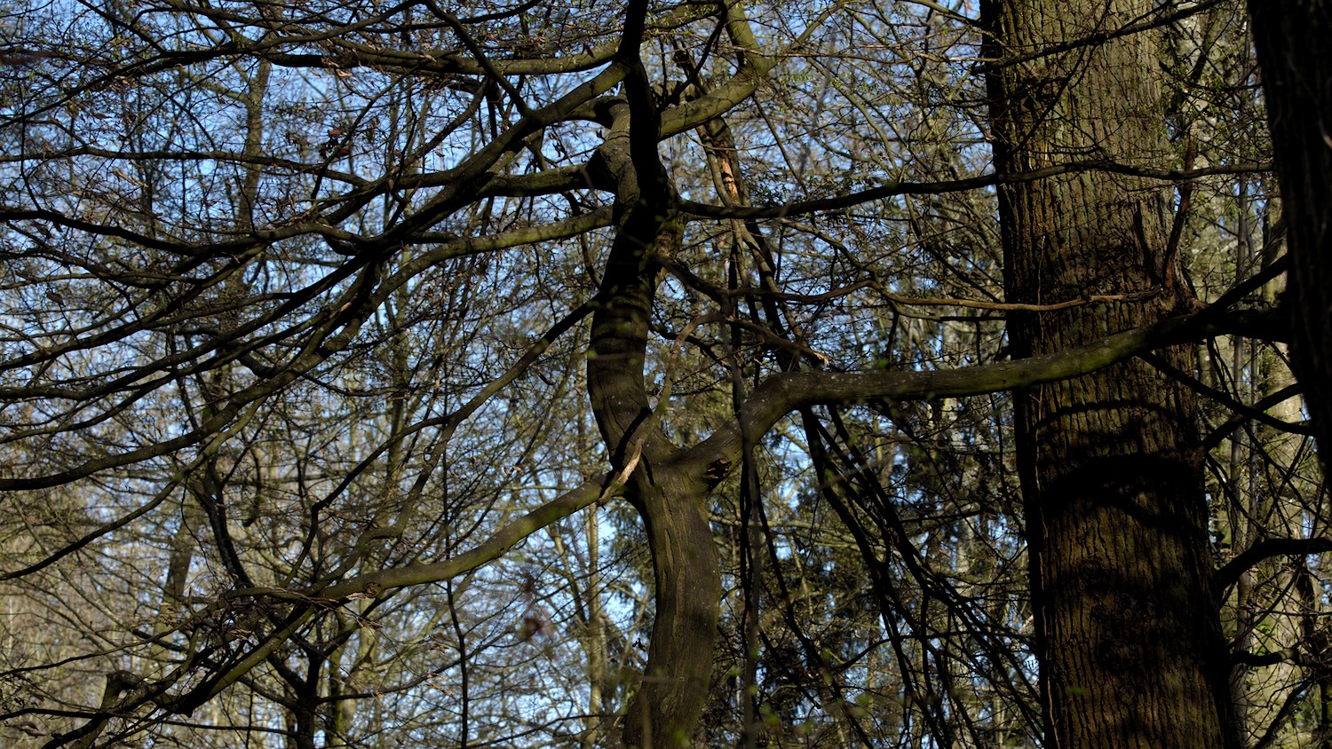 P3100492.jpg