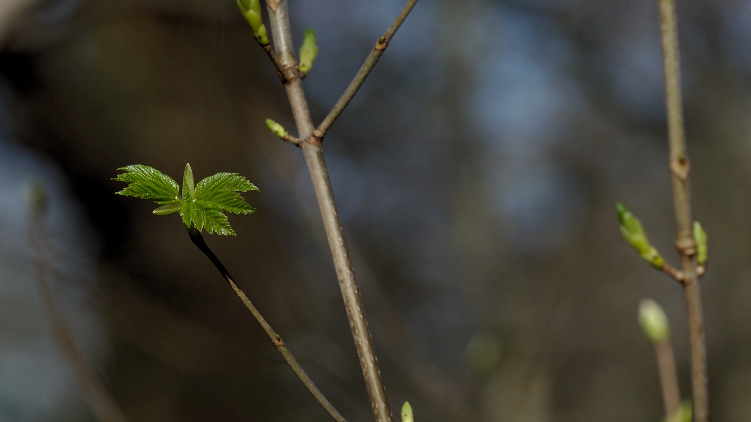 P3100495.jpg