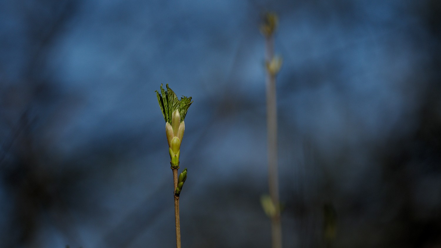P3100496.jpg