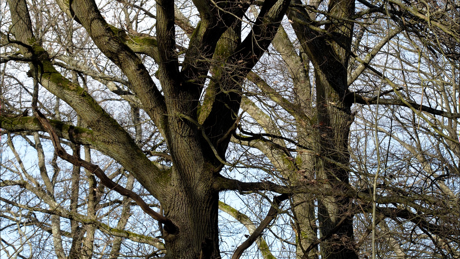 P3100516.jpg