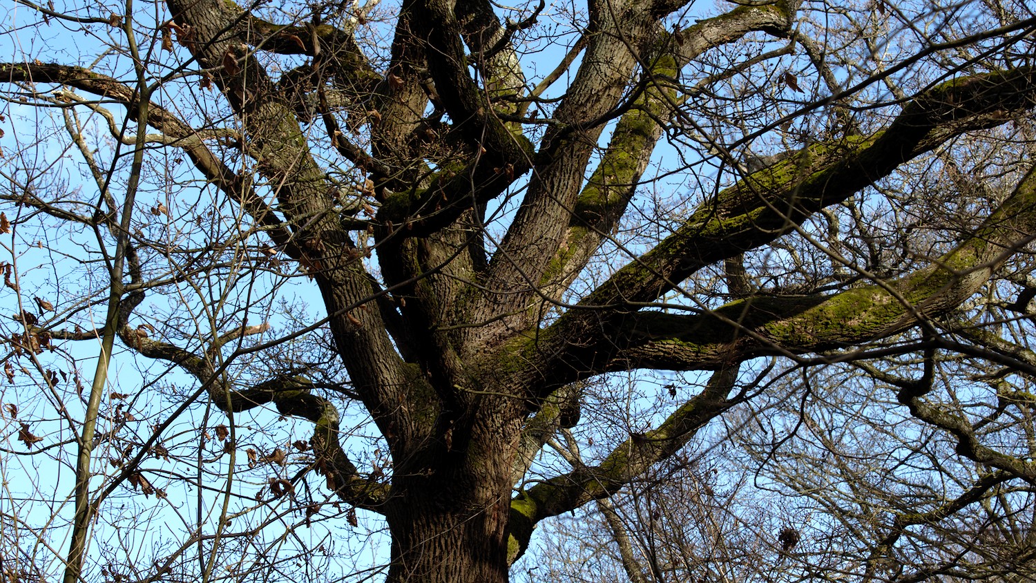 P3100519.jpg