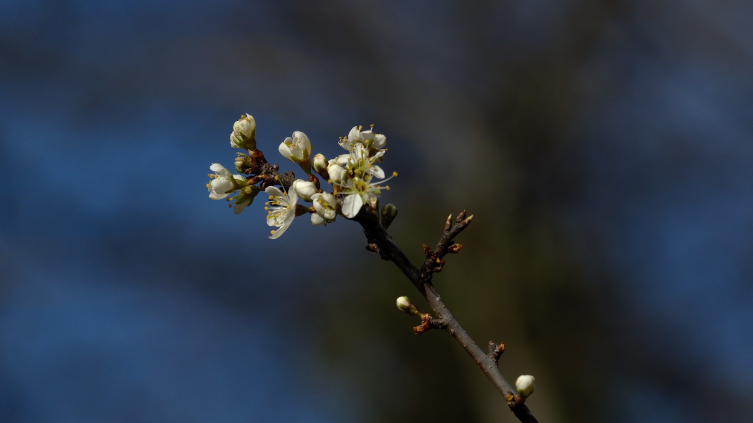 P3100527.jpg