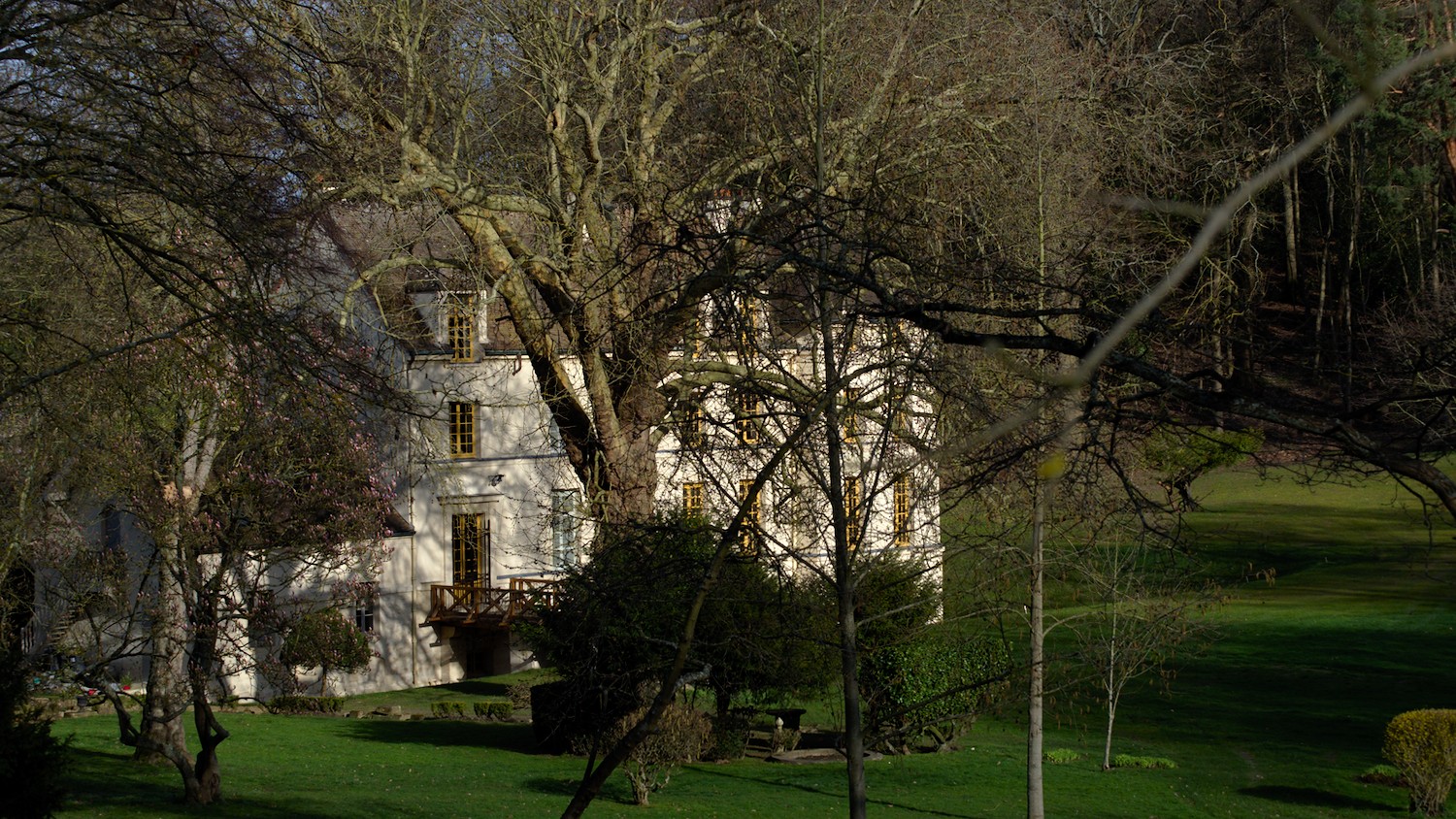 P3100536.jpg