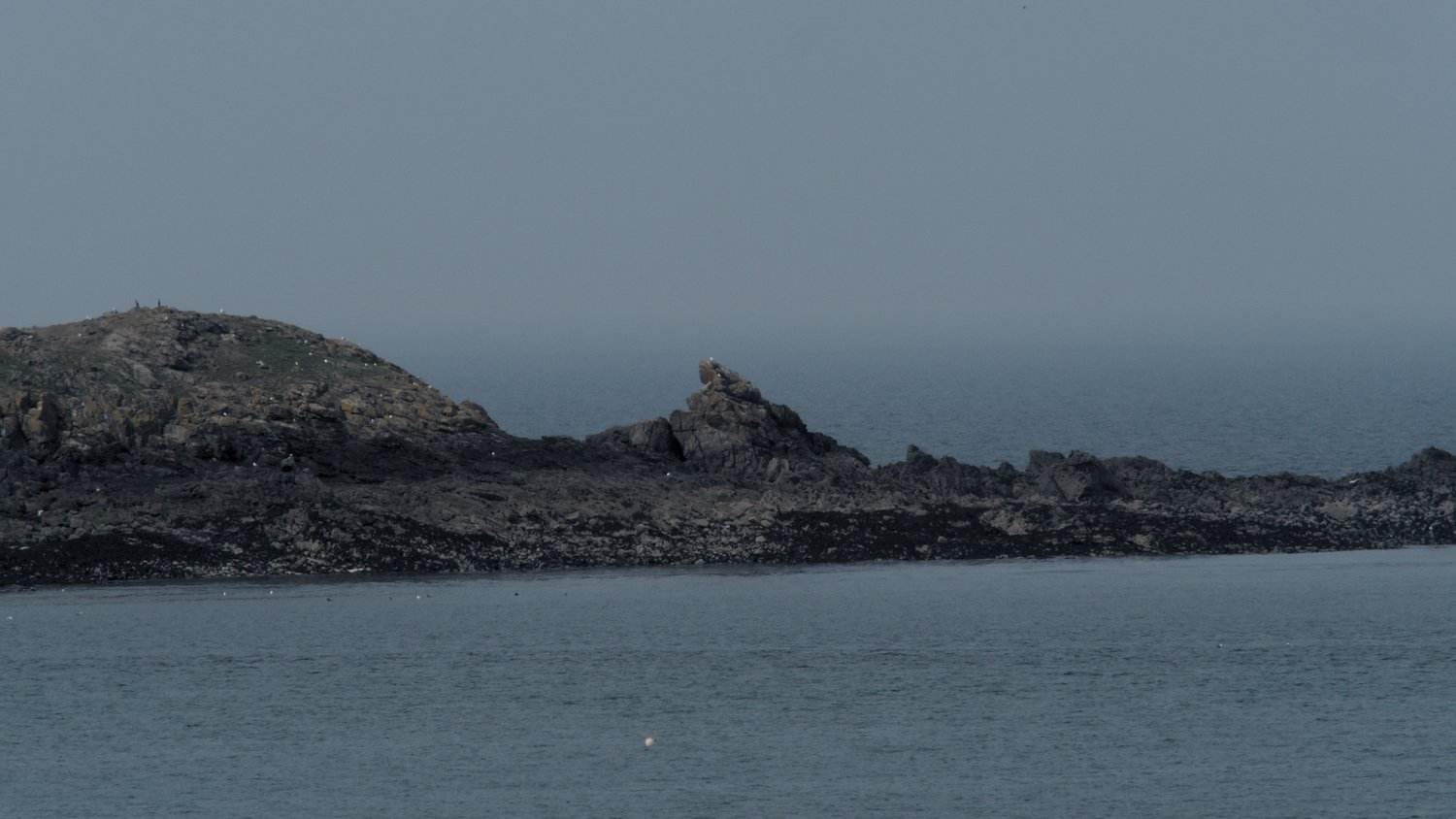 P4181273.jpg