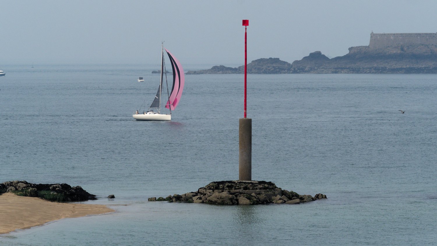 P4211429.jpg