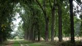 Arboretum de Chèvreloup - 15-08-2019