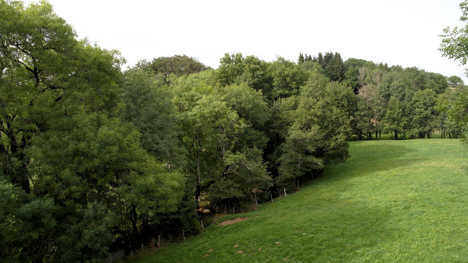 P9011748.jpg