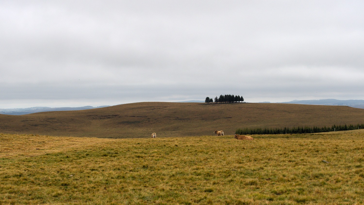 P9021785.jpg