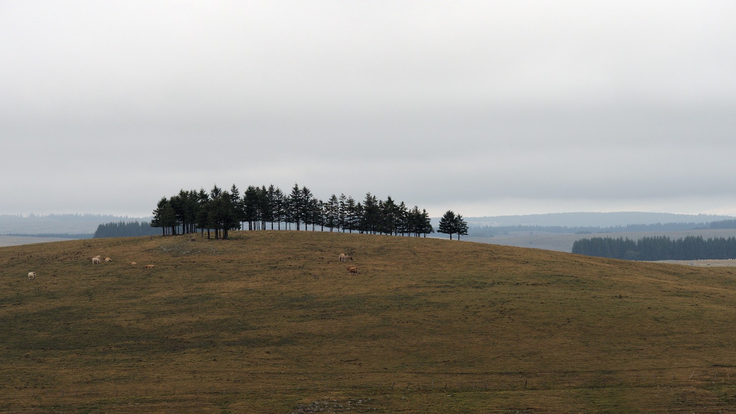P9021786.jpg