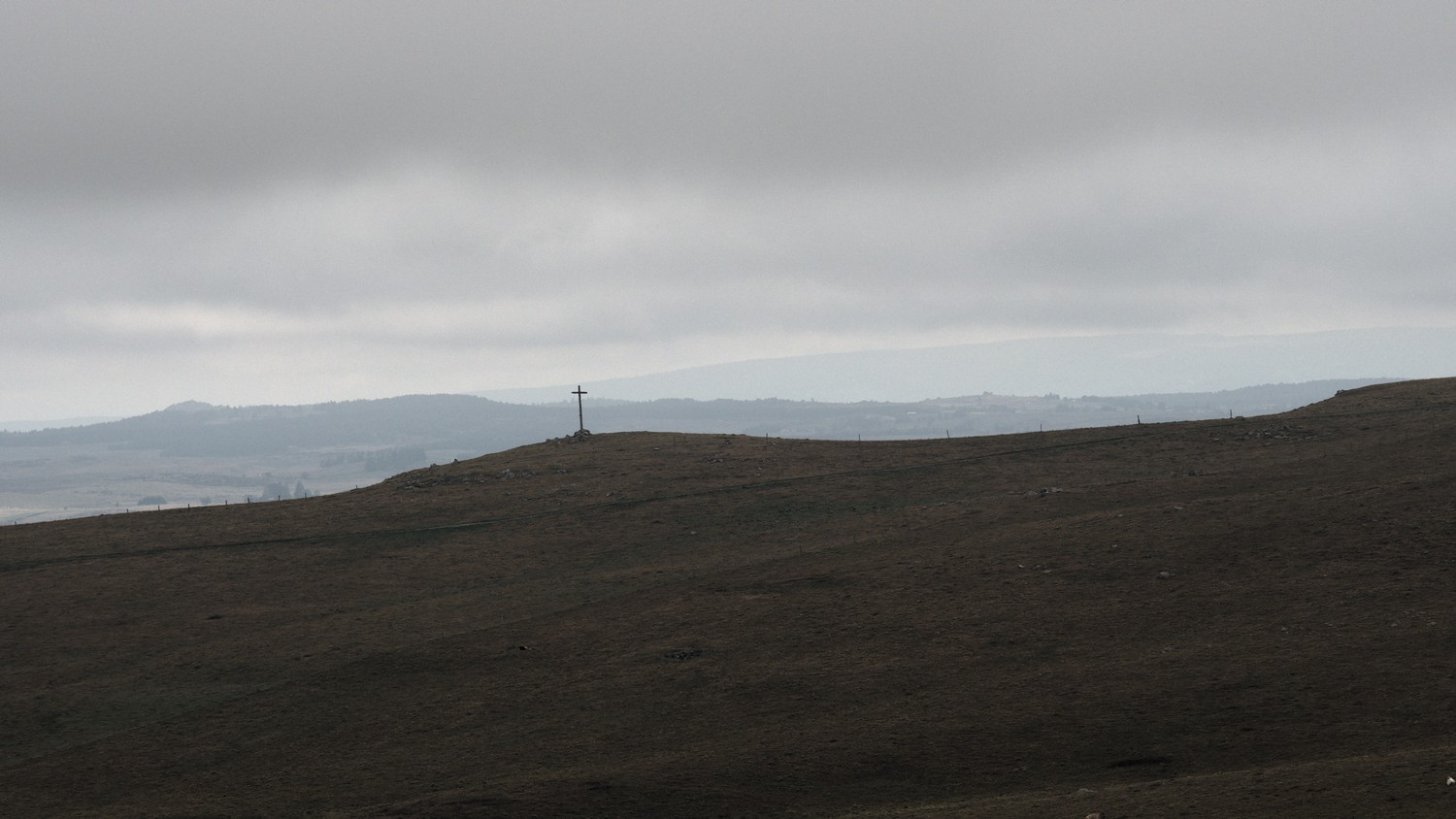 P9021793.jpg