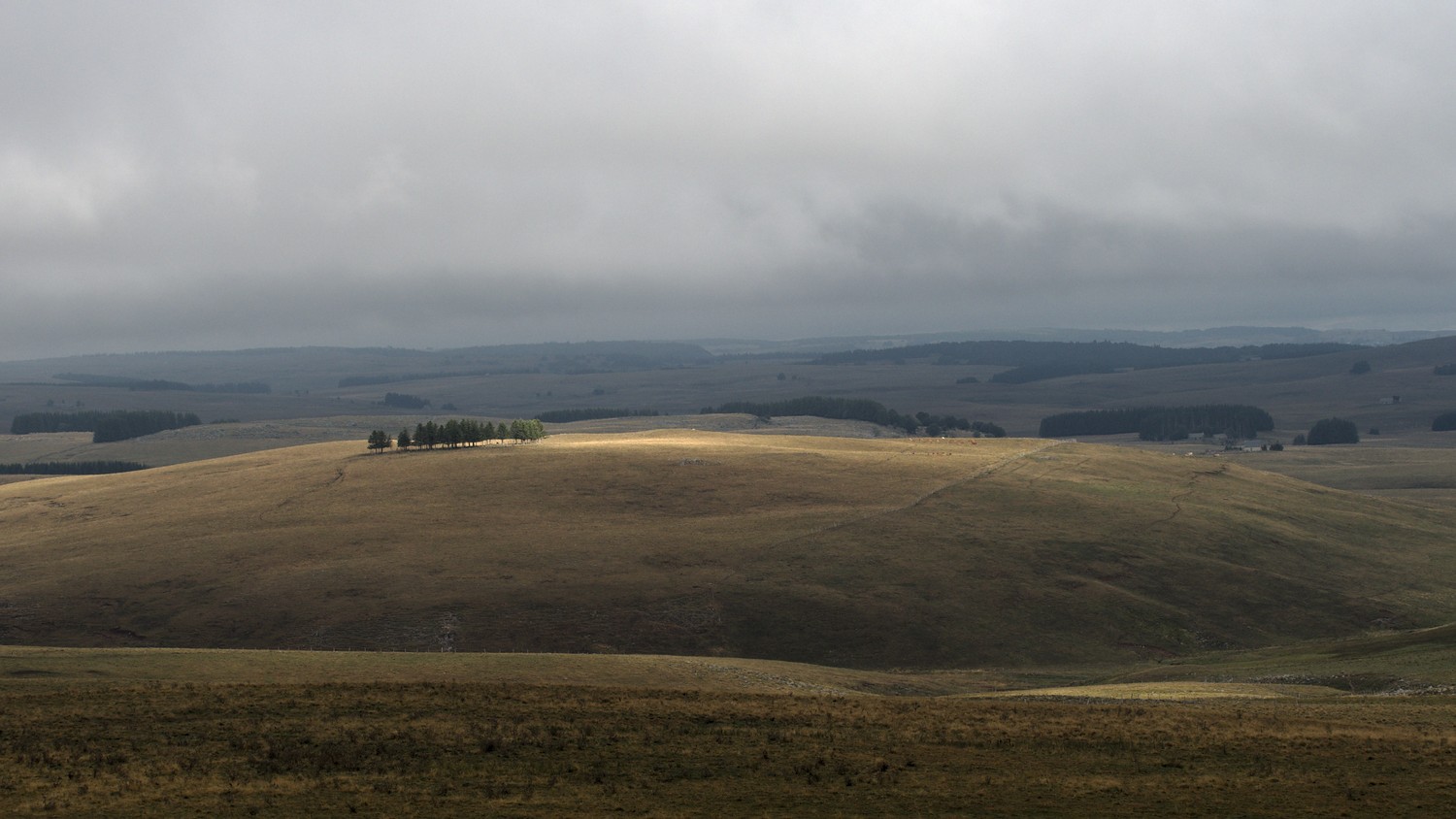 P9021800.jpg