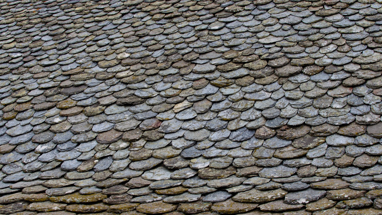 P9021809.jpg