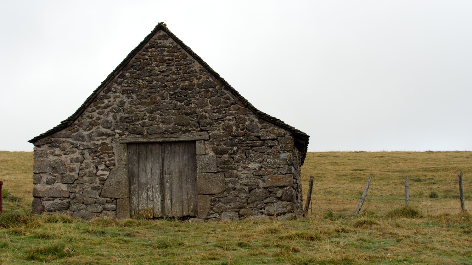 P9021811.jpg