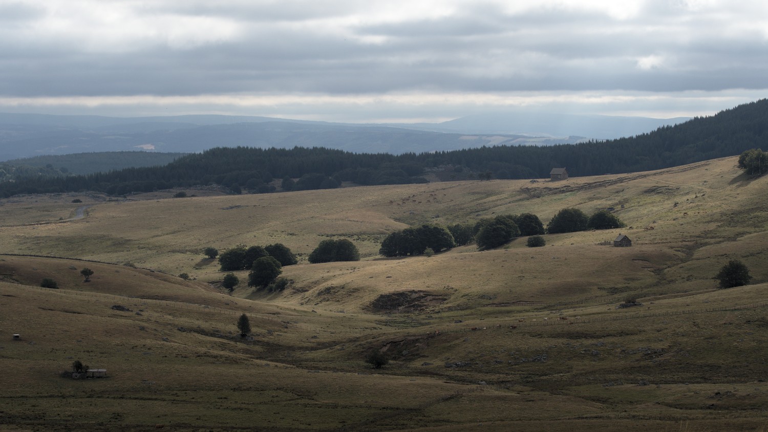 P9021813.jpg