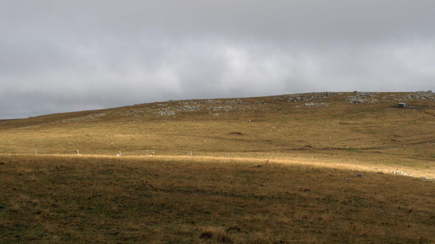 P9021818.jpg