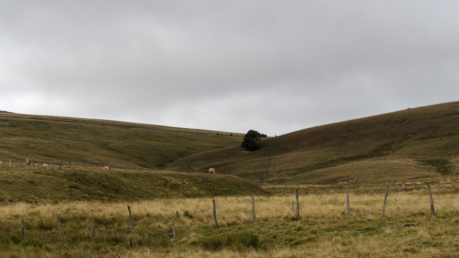 P9021831.jpg