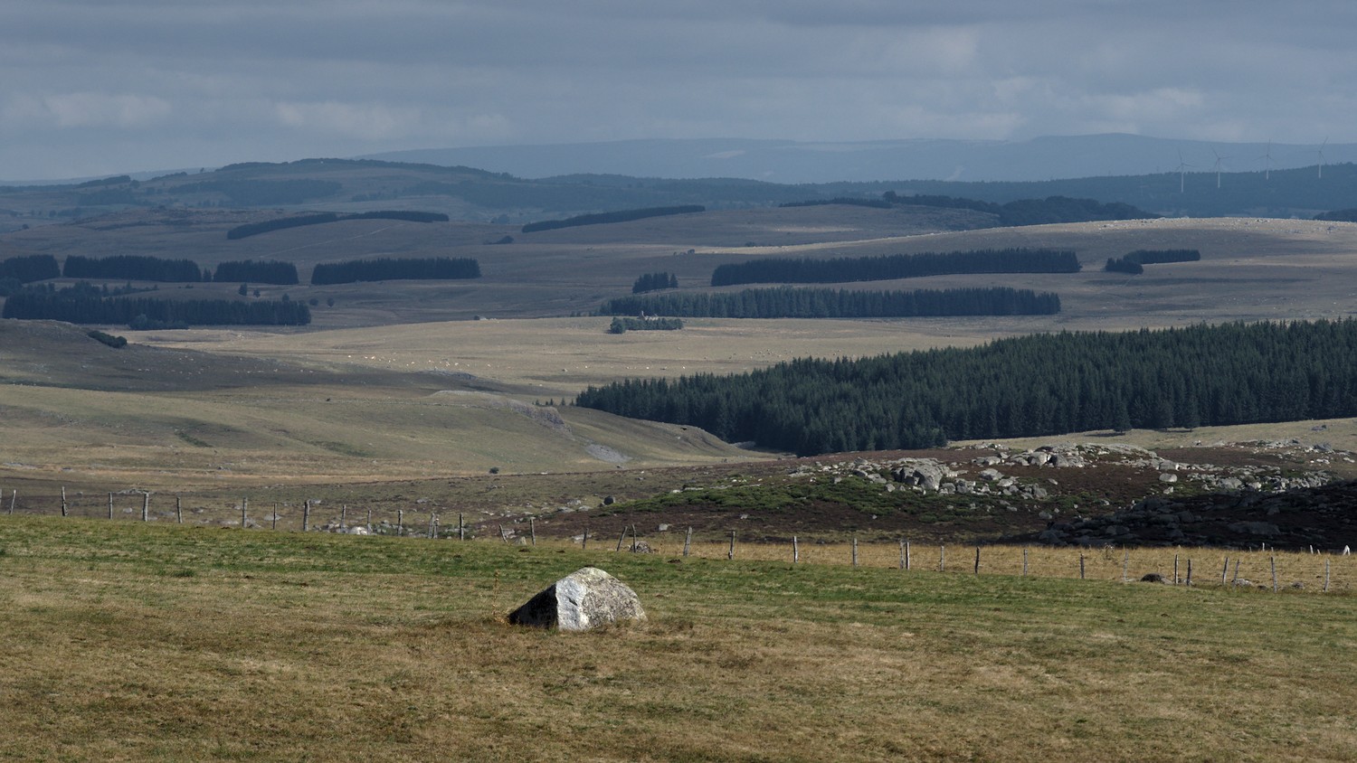 P9021836.jpg