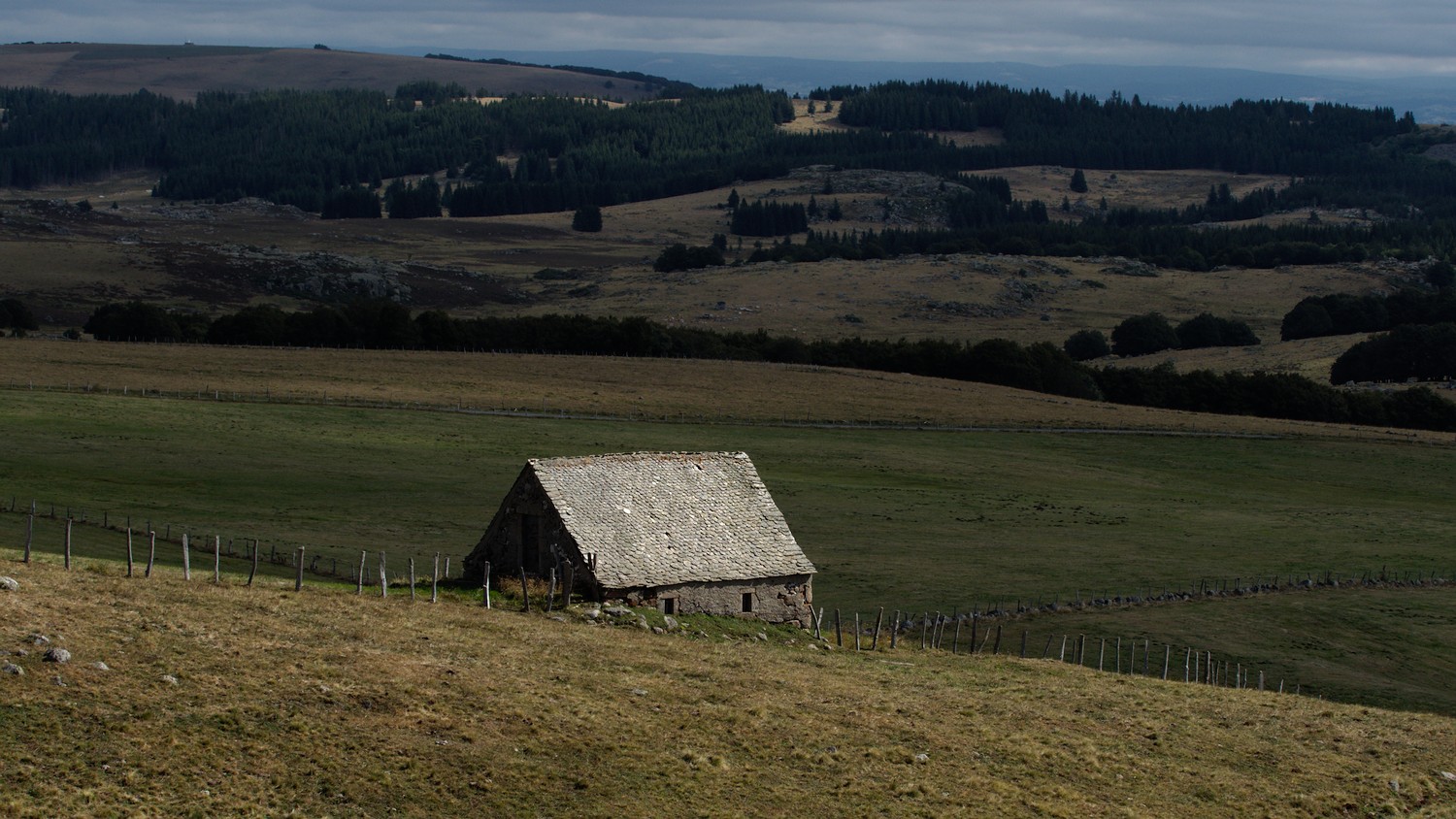 P9021838.jpg