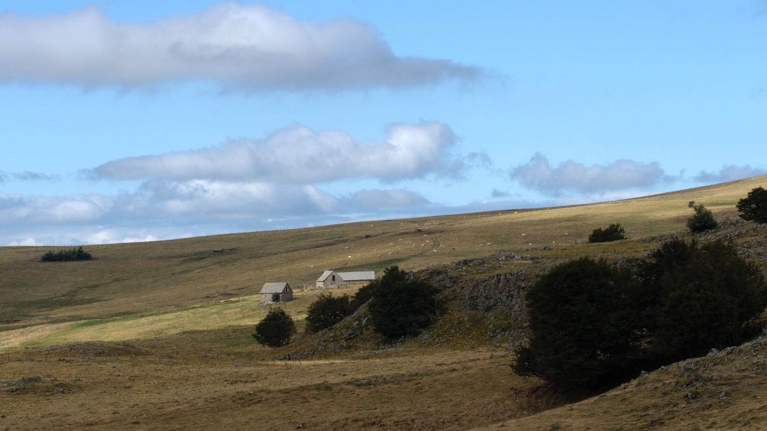 P9021856.jpg