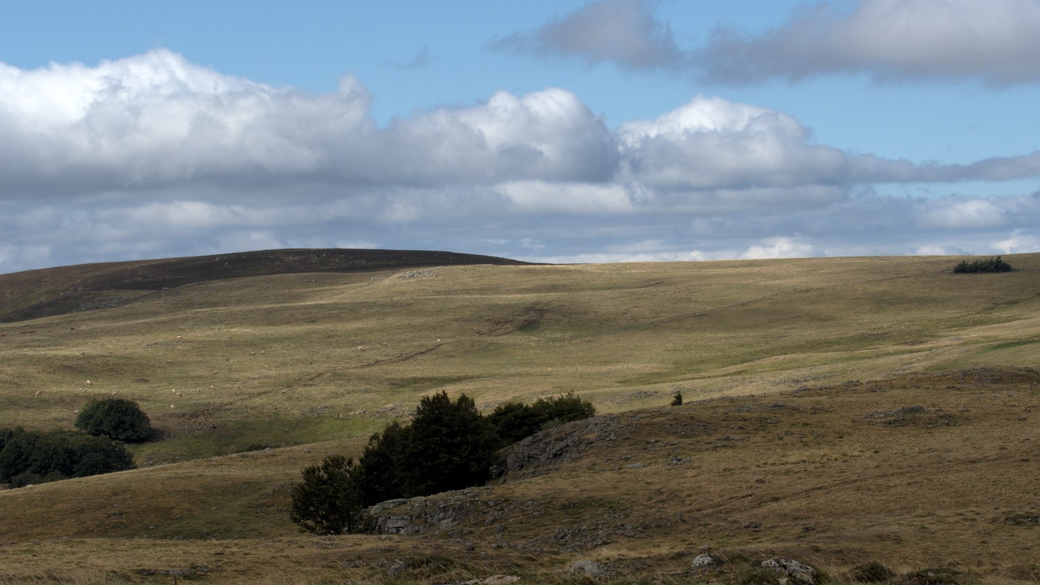 P9021860.jpg