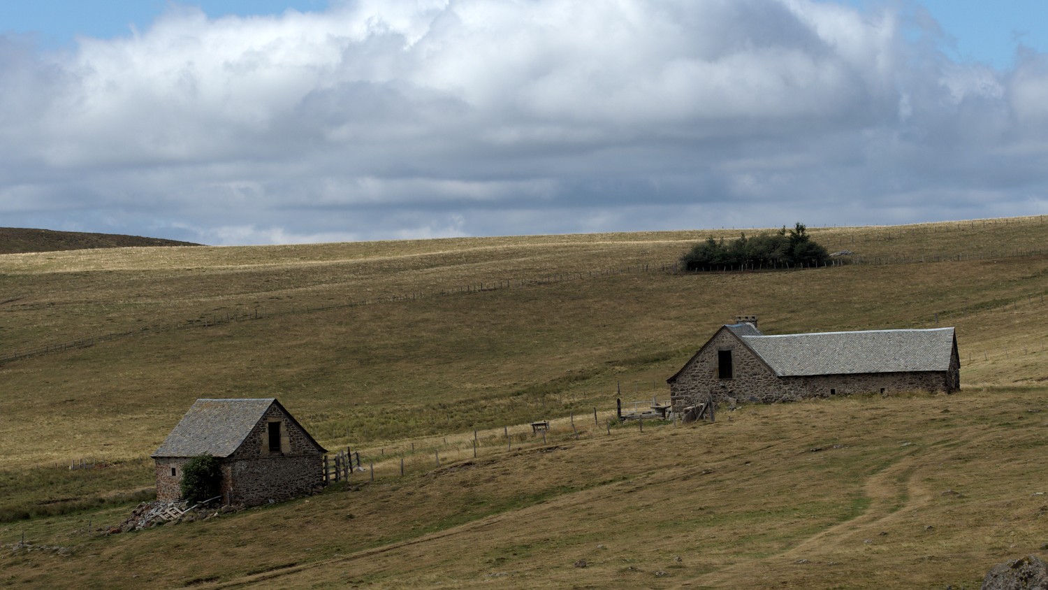 P9021864.jpg