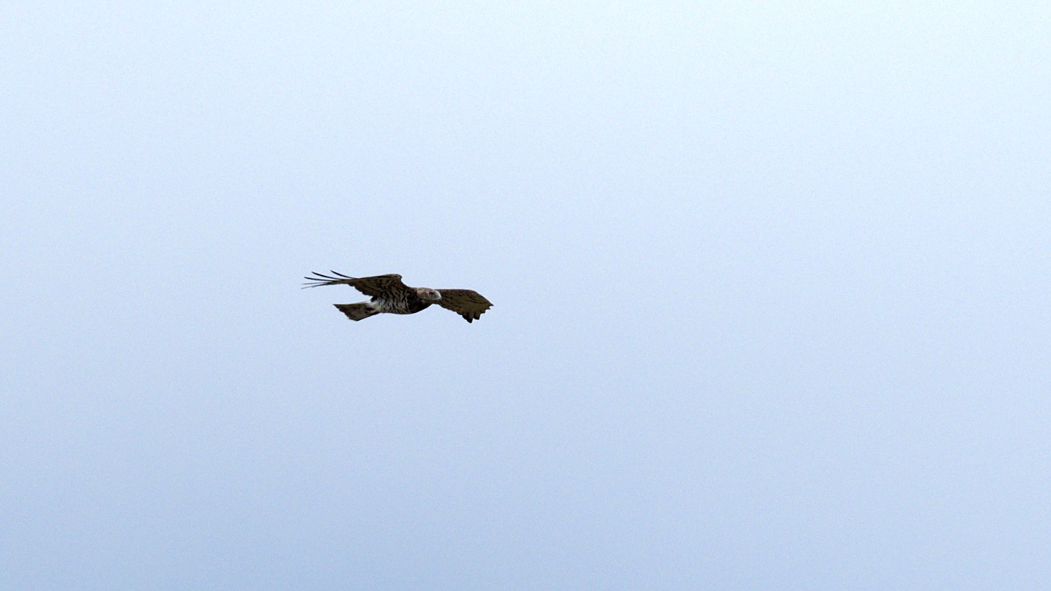 P9021871.jpg