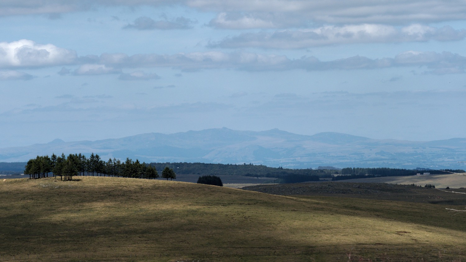 P9021883.jpg