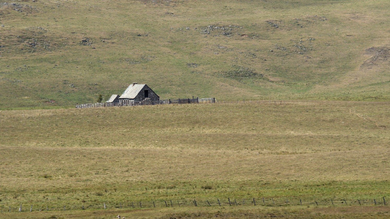P9021885.jpg