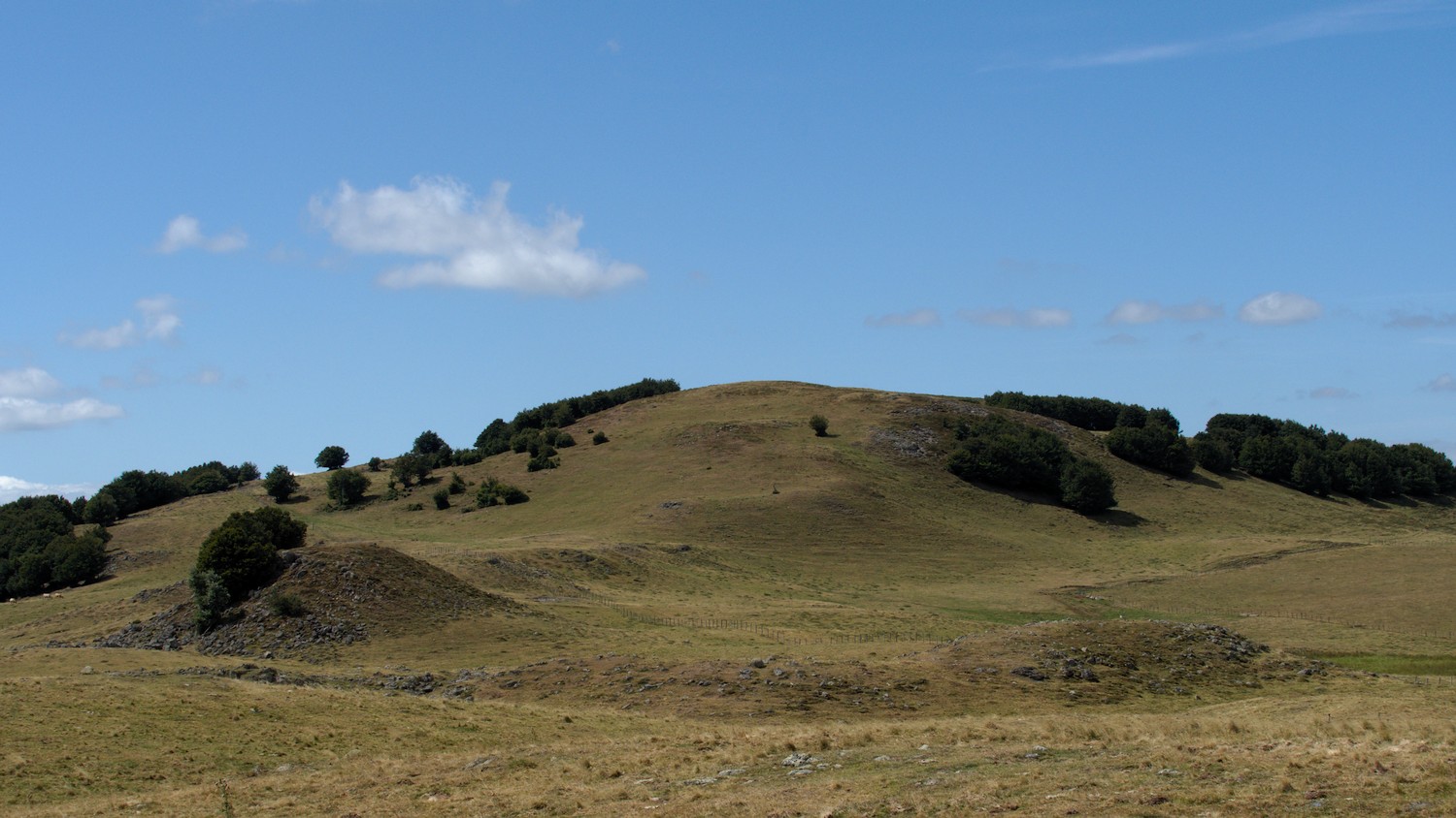 P9021886.jpg
