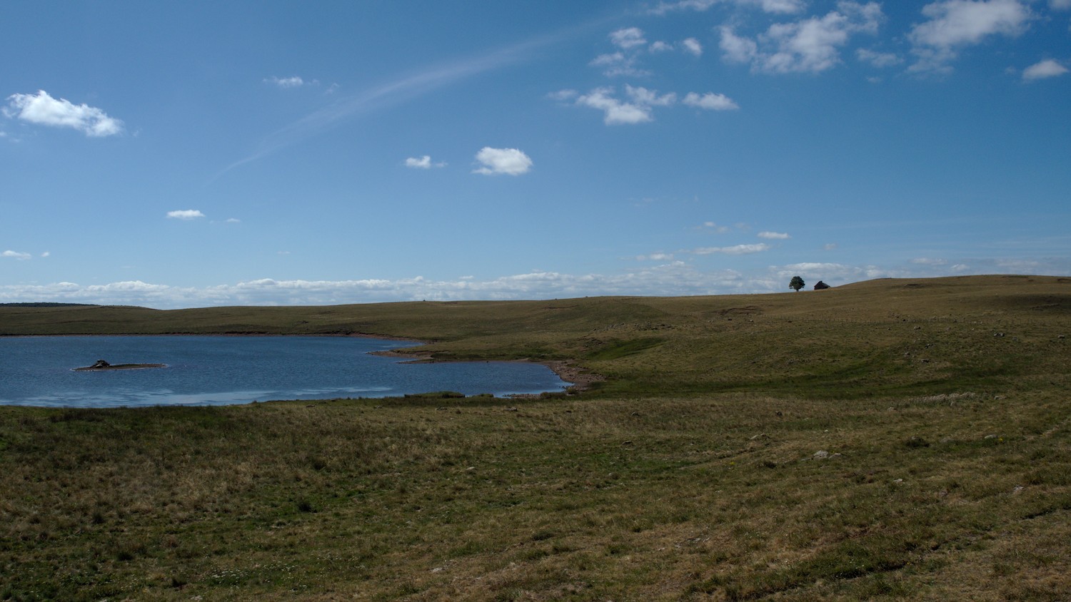 P9021894.jpg