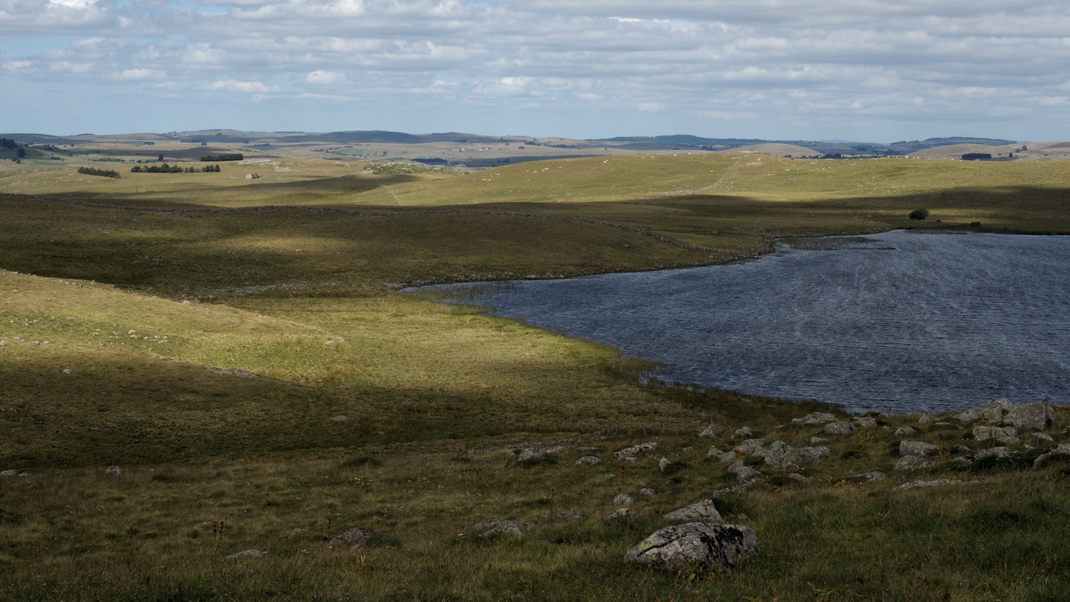 P9021898.jpg