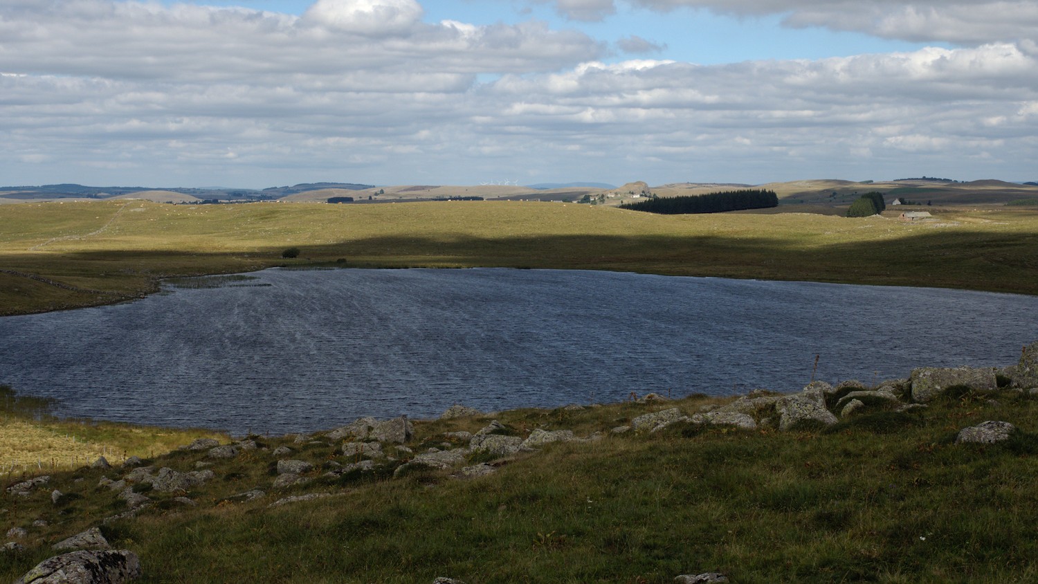 P9021899.jpg