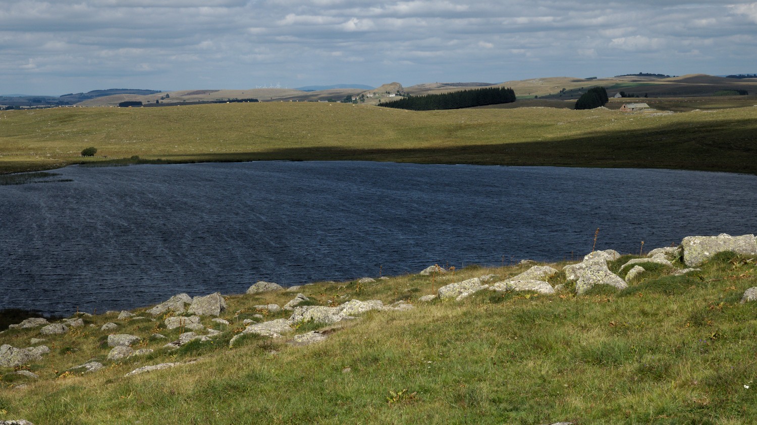 P9021902.jpg