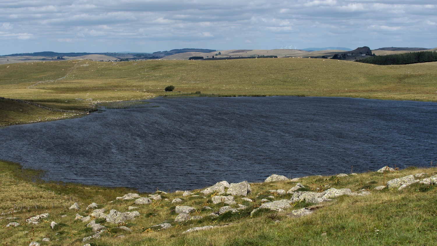 P9021904.jpg