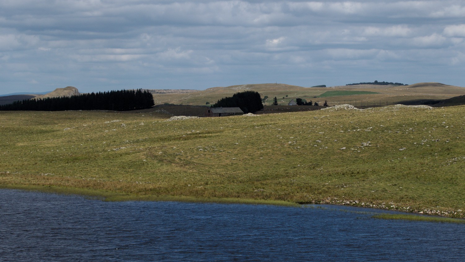 P9021910.jpg