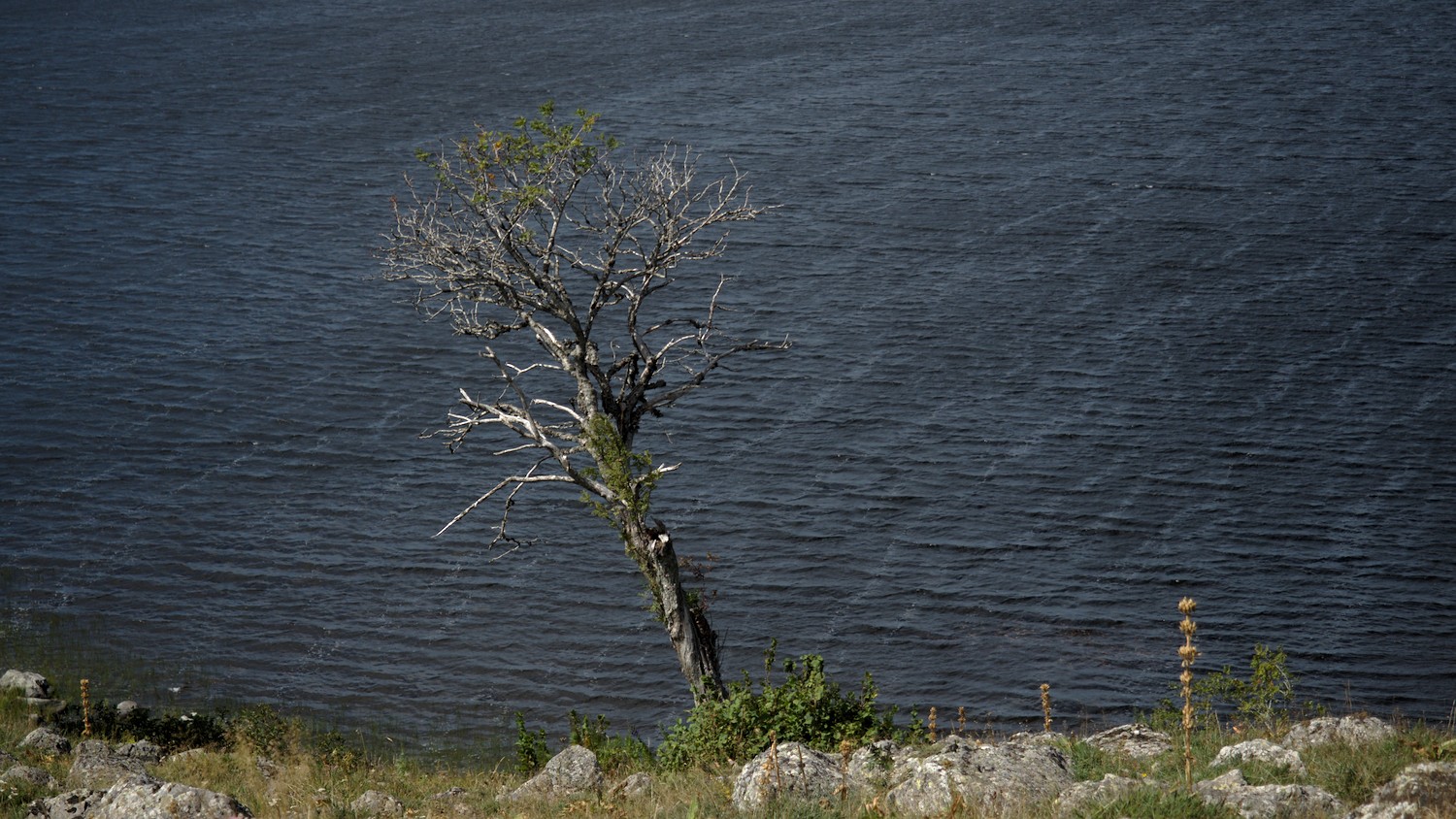 P9021924.jpg