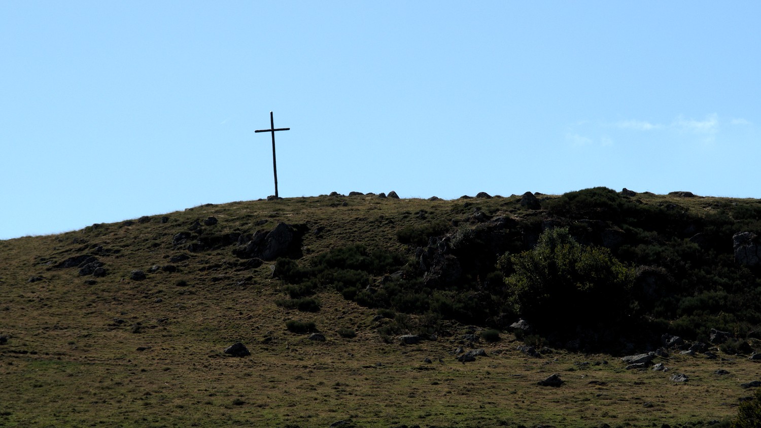 P9021935.jpg