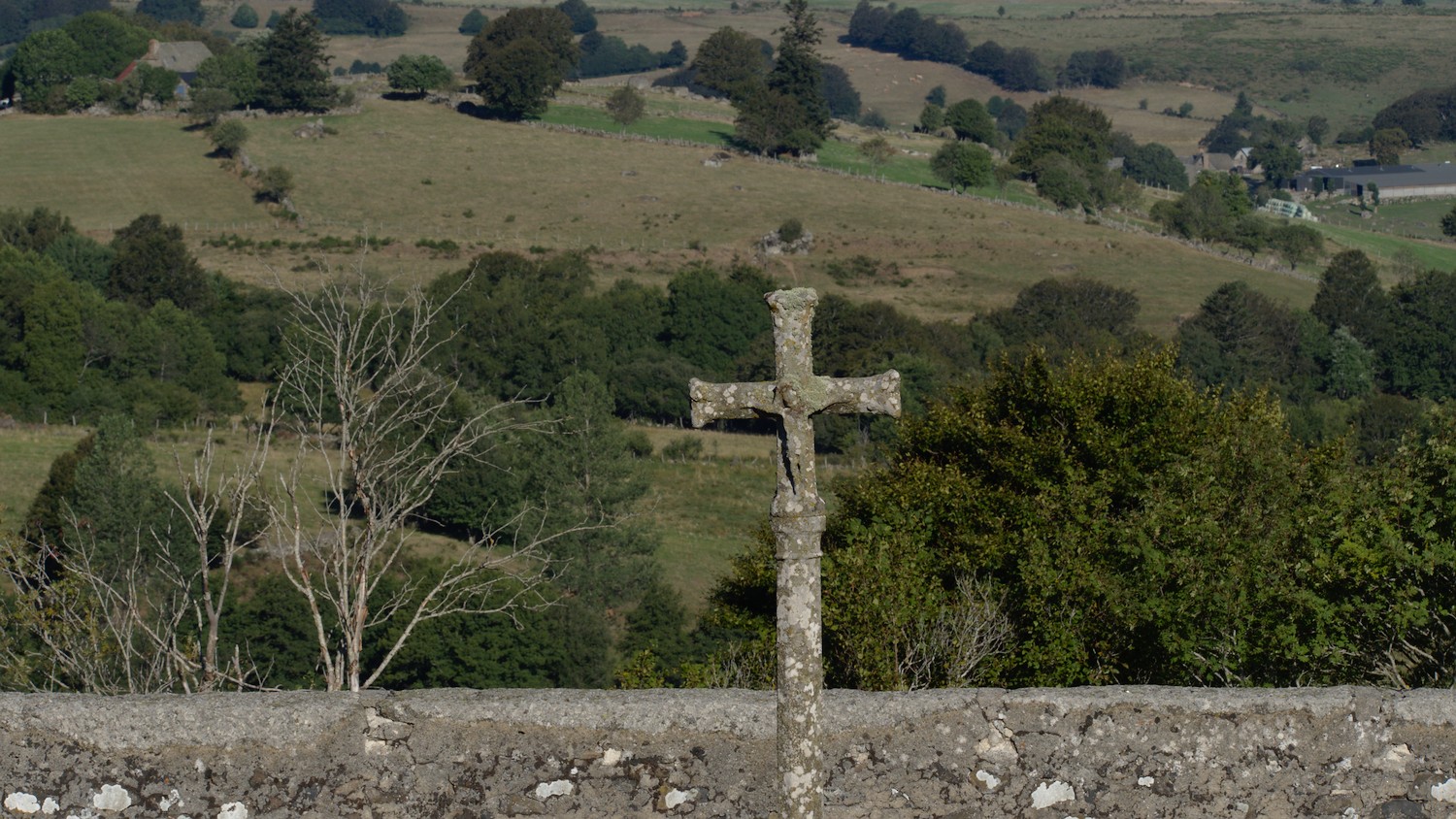 P9031937.jpg