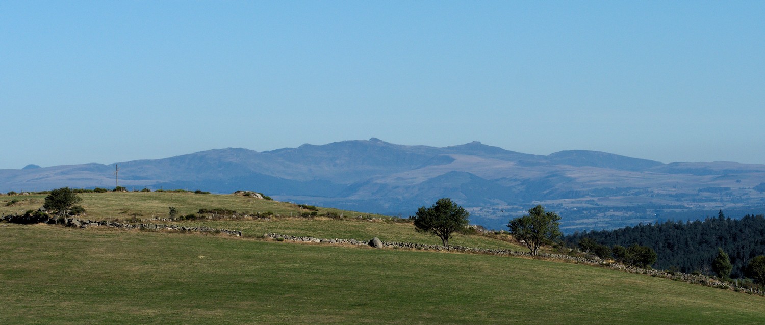 P9031938.jpg