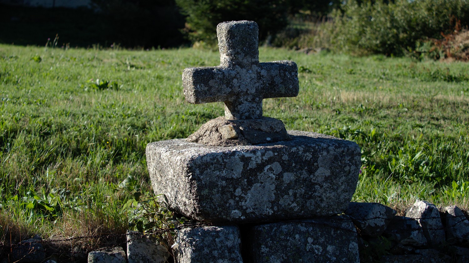 P9031939.jpg