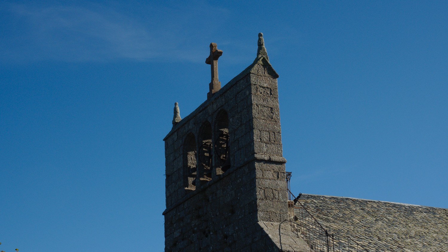 P9031949.jpg