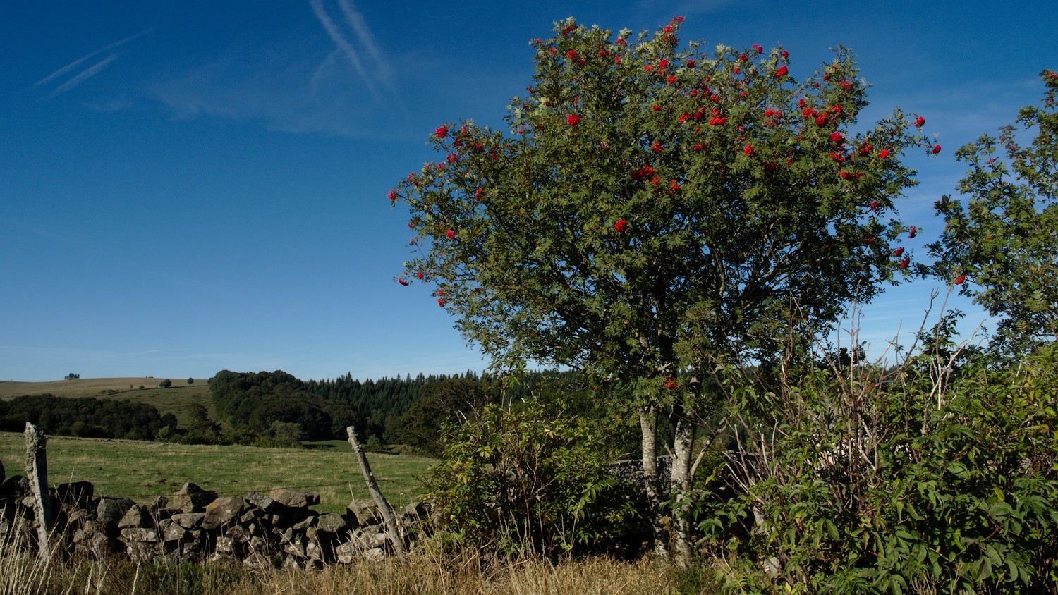 P9031952.jpg