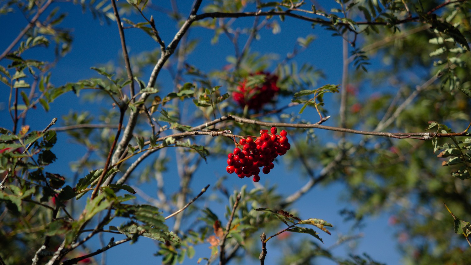 P9031955.jpg
