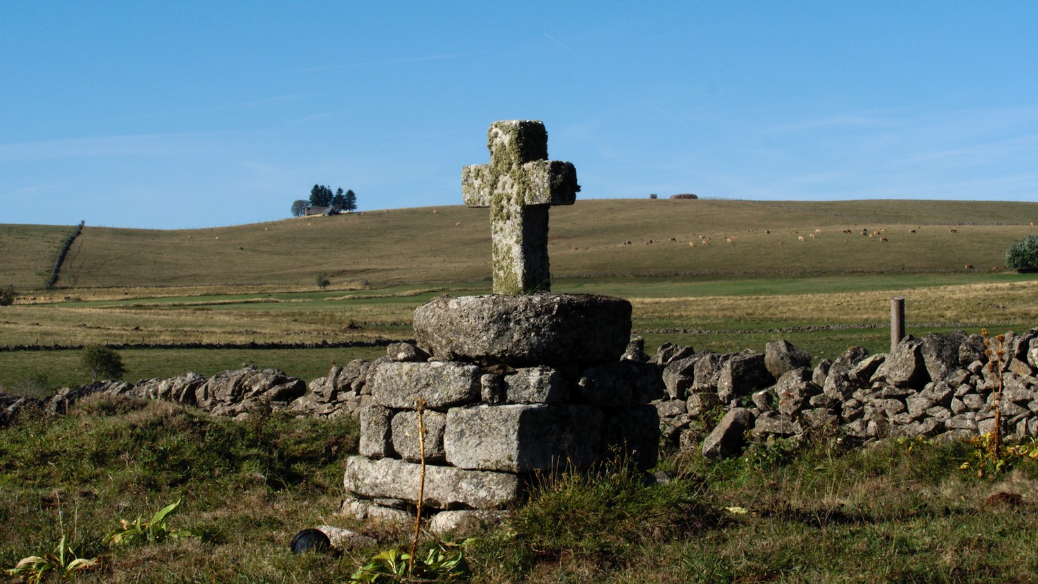 P9031960.jpg