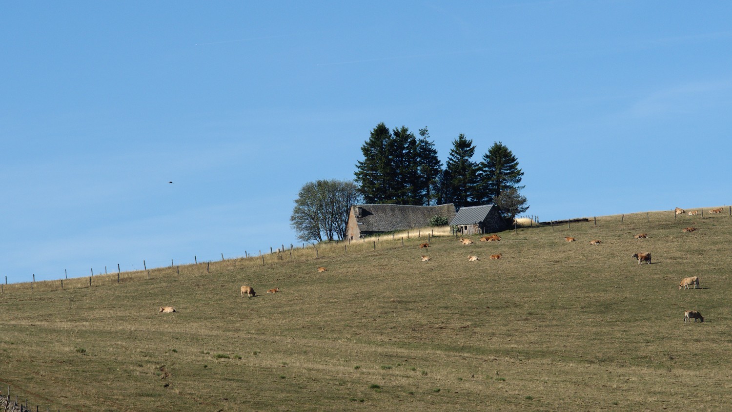 P9031978.jpg