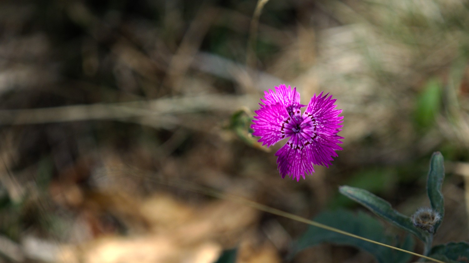 P9032053.jpg